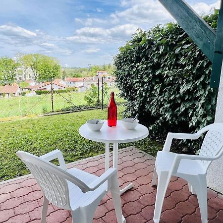 Studio Eglantine A Cambo-Les-Bains, Proche Thermes, Terrasse, Parking, Acces Internet, Animaux Ok - Fr-1-495-106 Buitenkant foto